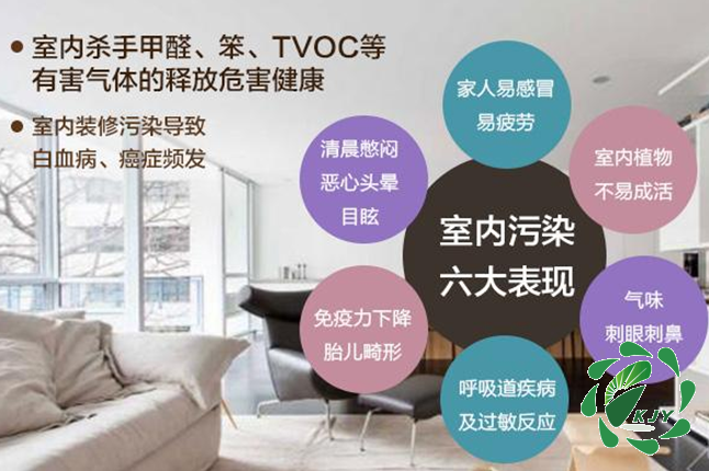 甲醛真可怕，貼壁紙竟然也會(huì)導(dǎo)致甲醛中毒