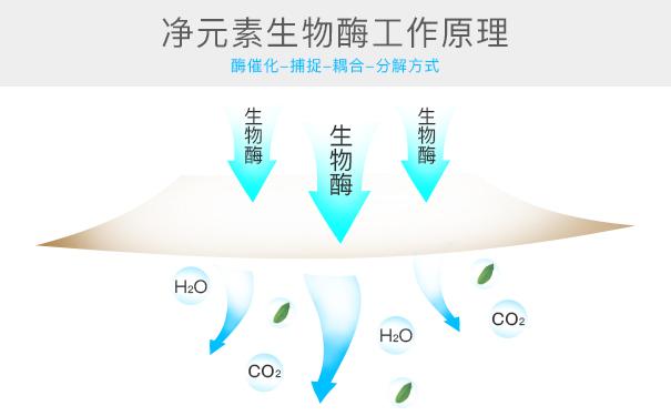 光觸媒、生物酶、空氣凈化器，哪家除甲醛公司效果好？