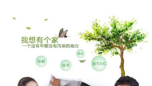 效果好、專(zhuān)業(yè)的光觸媒除甲醛產(chǎn)品有那些？